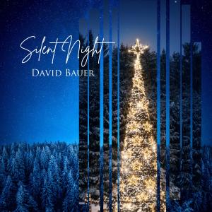 David Bauer的專輯Silent Night