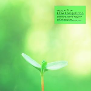 Album CCM Piano Collection For Happy Morning Agape Tree from Korea Various Artists