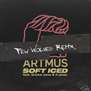 Artmus的專輯Soft Iced