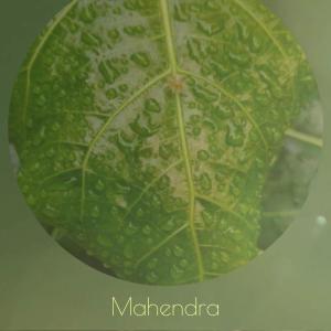 อัลบัม Mahendra ศิลปิน Various Artists