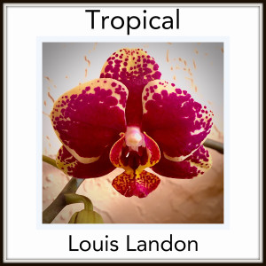 อัลบัม Tropical ศิลปิน Louis Landon
