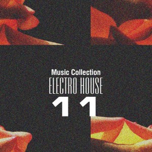 Album Music Collection. Electro House, Vol. 11 from Big Room Academy