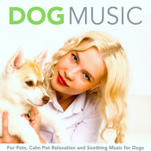 Listen to Calm Dog Music song with lyrics from Dog Music
