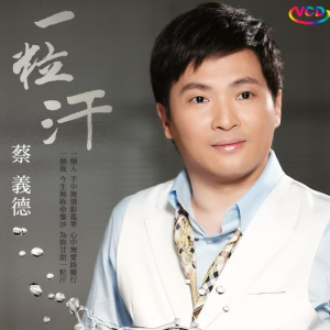 Listen to 认真一定红 song with lyrics from 蔡义德