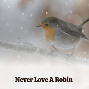 Listen to Besame Mucho song with lyrics from Ray O Vacs