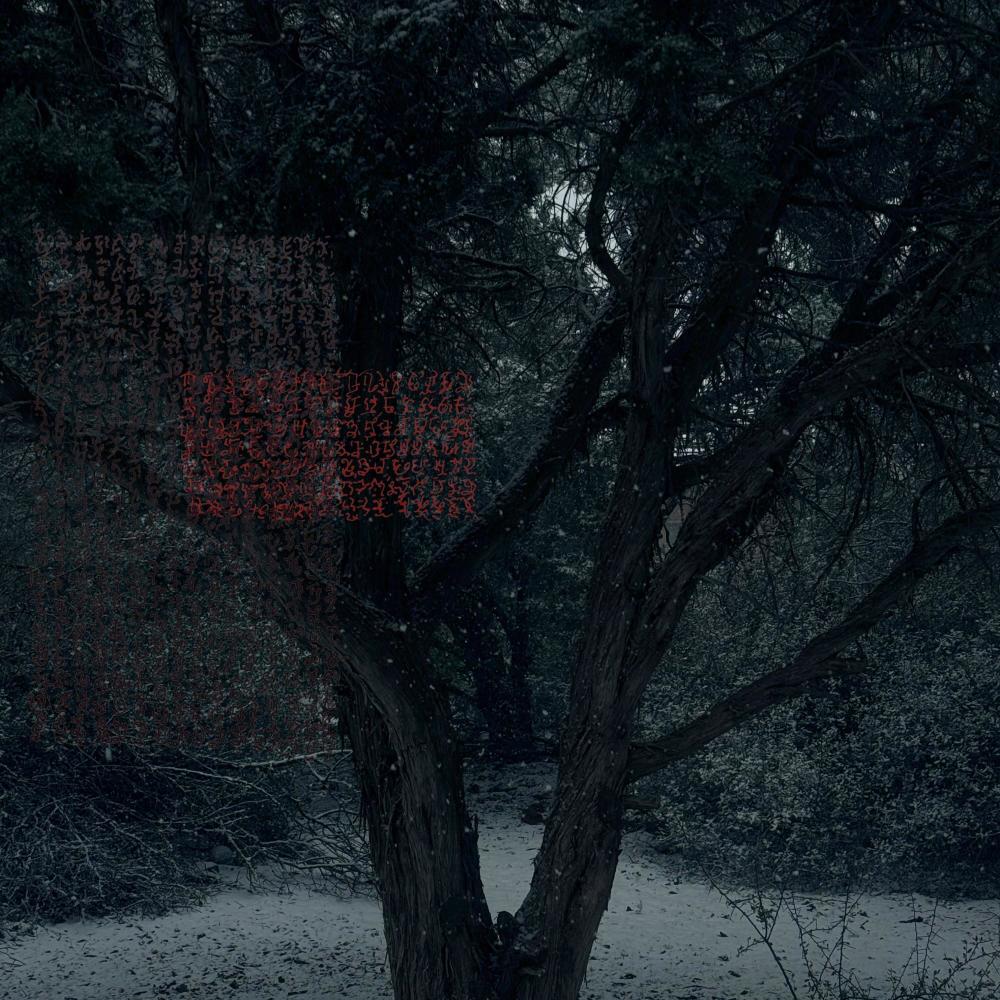 Nobody (slowed)