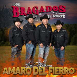 收聽Los Bragados Del Norte的La Libreta歌詞歌曲