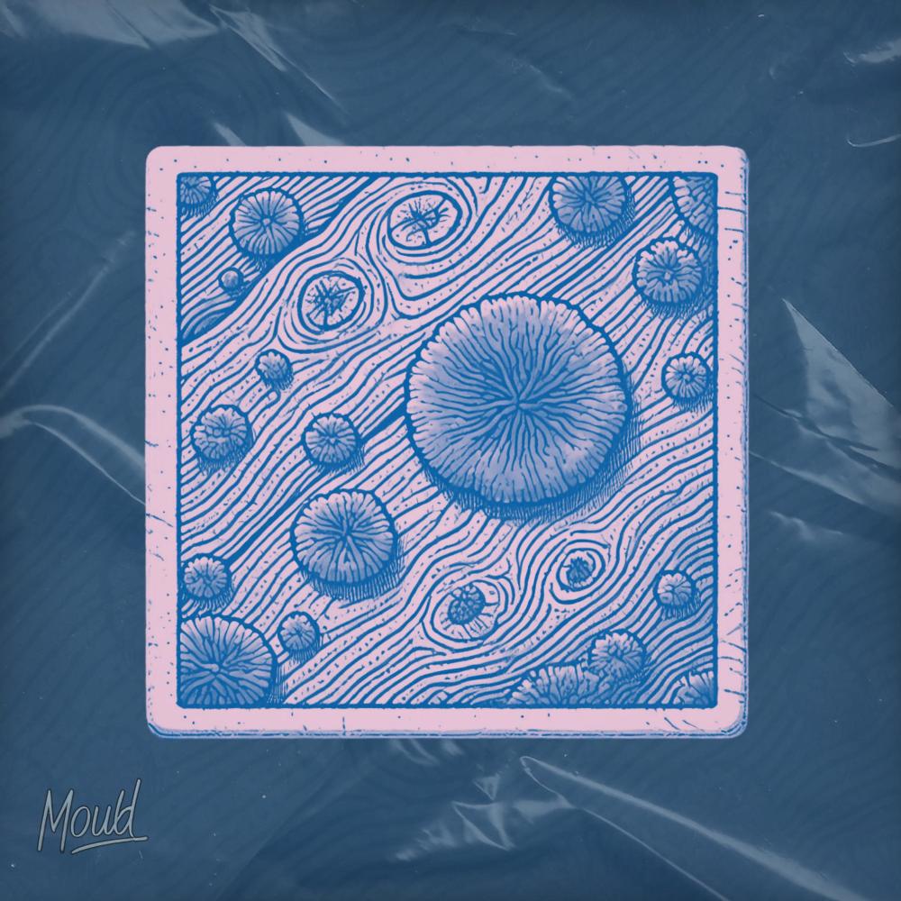 Mould