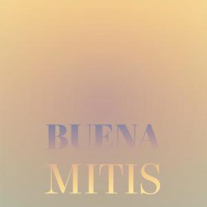 Various Artists的專輯Buena Mitis