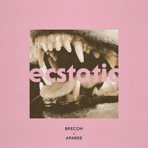 Brecon的專輯Ecstatic