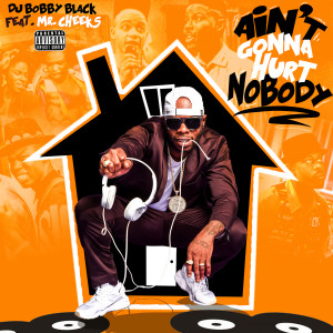 DJ Bobby Black的专辑Ain't Gonna Hurt Nobody (Explicit)