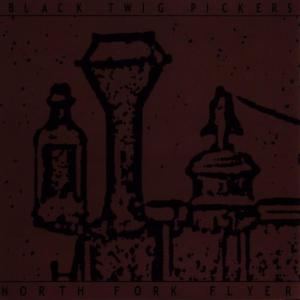 收聽Black Twig Pickers的Little Sadie歌詞歌曲