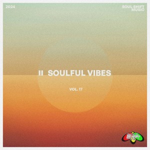 群星的专辑Soulful Vibes, Vol. 17