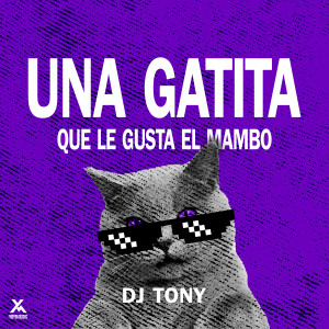 收聽DJ Tony的Una Gatita Que Le Gusta El Mambo (Explicit)歌詞歌曲