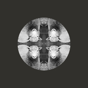 Listen to 一個樣（feat. Troubel.Ｚ） song with lyrics from Ice Paper