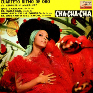 ดาวน์โหลดและฟังเพลง Señorita Yo La Quiero (Cha Cha Cha) พร้อมเนื้อเพลงจาก Agustín Martínez