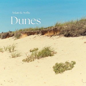 Axian的專輯Dunes