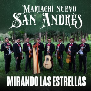 收聽Mariachi Nuevo San Andrés的Cariño Verdad歌詞歌曲