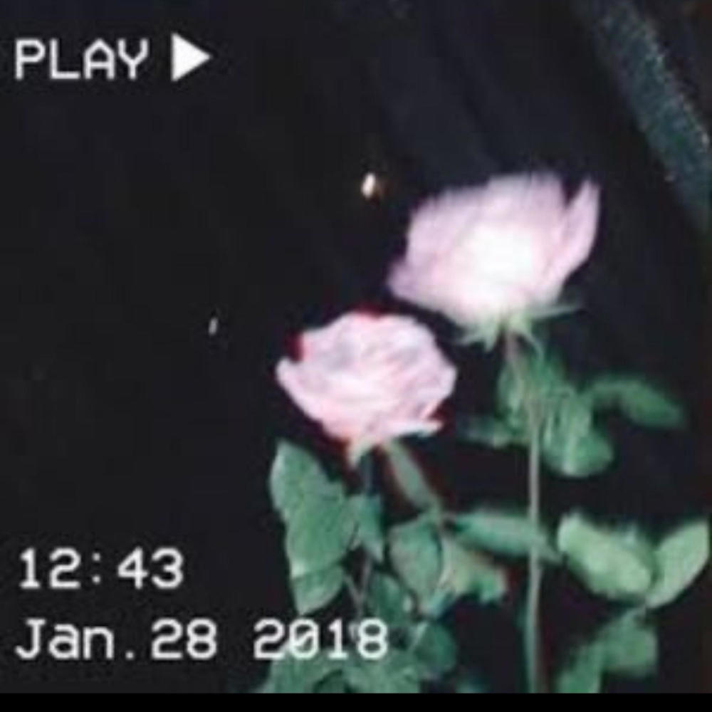 Aint you (feat. 1luhjunkie) (Explicit)