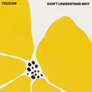 Toucan的專輯Don't Understand Why