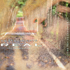 Listen to Un Sentimiento Real song with lyrics from Vj Wolfgang