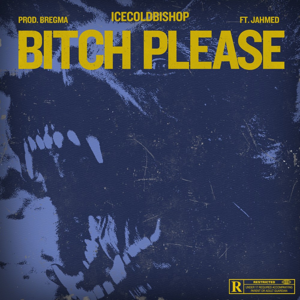 BITCH PLEASE (Explicit)