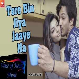 收听Aadil的Tere Bin Jiya Jaaye Na歌词歌曲