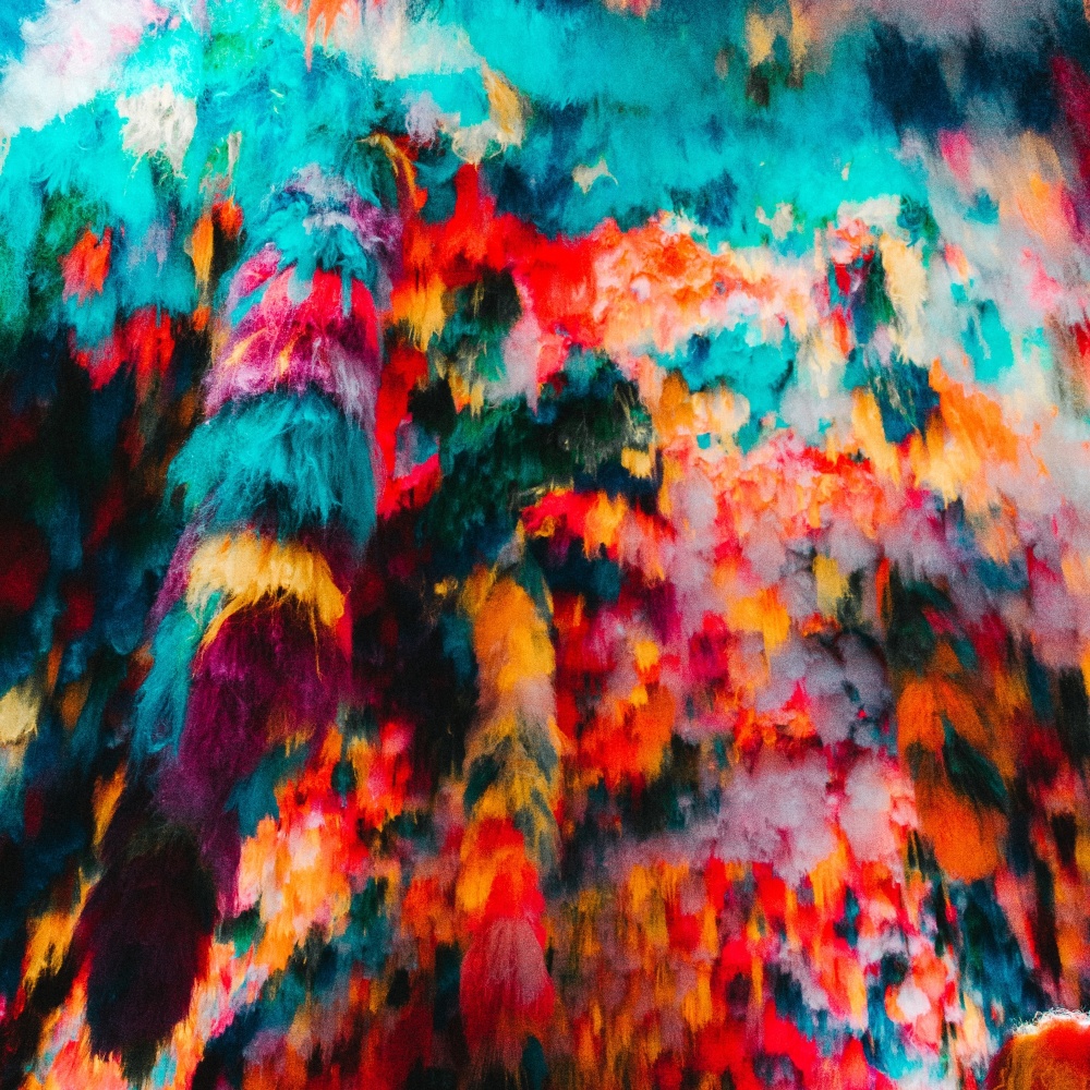 Trip