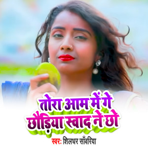 Listen to Tora Aam Me Ge Choudiya Swad Ne Chho song with lyrics from Shildhar Sawariya