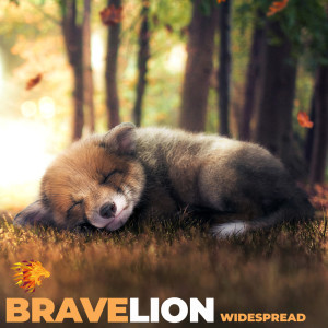Listen to Widespread (Instrumental) song with lyrics from BraveLion