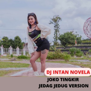 Album Joko Tingkir (Remix) from DJ Intan Novela