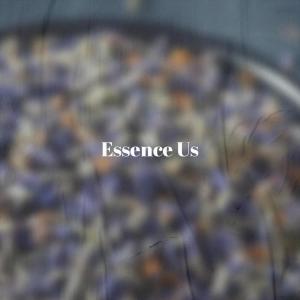 Listen to Essence Us song with lyrics from Thel Ther