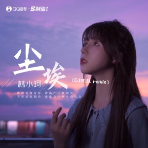 Album 尘埃（DJ沈乐remix） from 林小珂