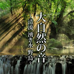 Listen to Kamikochi Myojin pond Bird song with lyrics from Relaxing α WAVE
