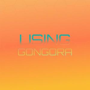 อัลบัม Using Gongora ศิลปิน Various