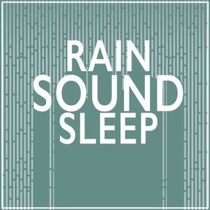 ดาวน์โหลดและฟังเพลง Wet and Windy พร้อมเนื้อเพลงจาก Rain Sounds Sleep