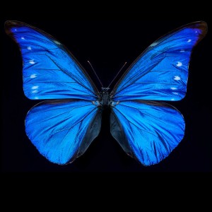 Listen to Wake song with lyrics from 4nzek
