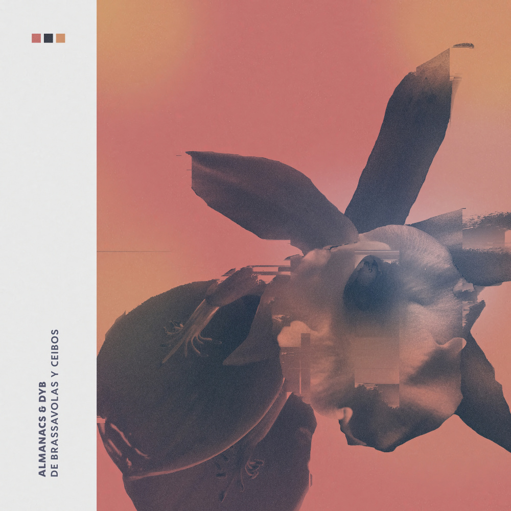 Ceibos (Almanacs Remix)