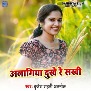 Listen to Alangiya Dukhe Re Sakhi song with lyrics from Brijesh Shahni Anmol