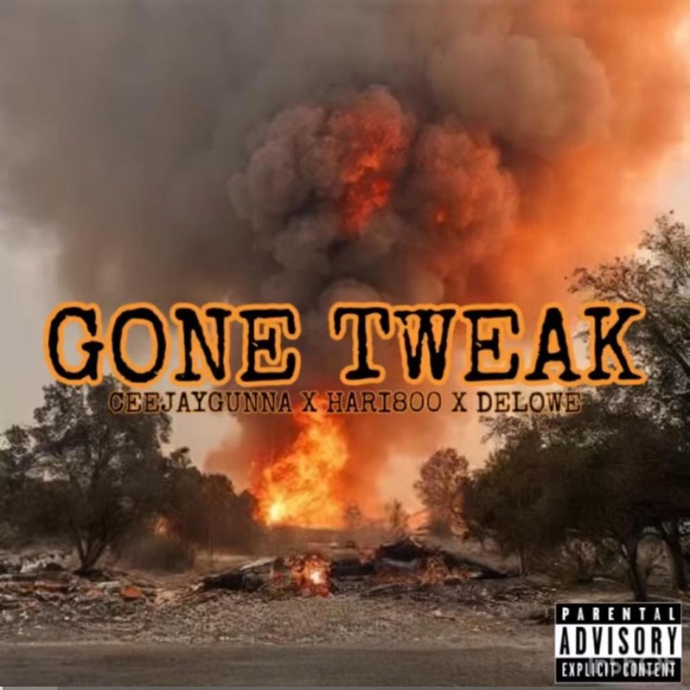 Gone Tweak (feat. CeeJayGunna & Hari800) (Explicit)