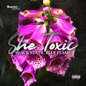 Album She Toxic (Explicit) from Black Static Blue Flame