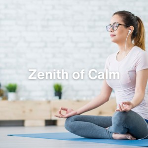Album Zenith of Calm oleh Music to Relax in Free Time