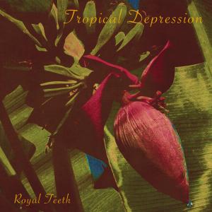 ดาวน์โหลดและฟังเพลง Tropical Depression พร้อมเนื้อเพลงจาก Royal Teeth