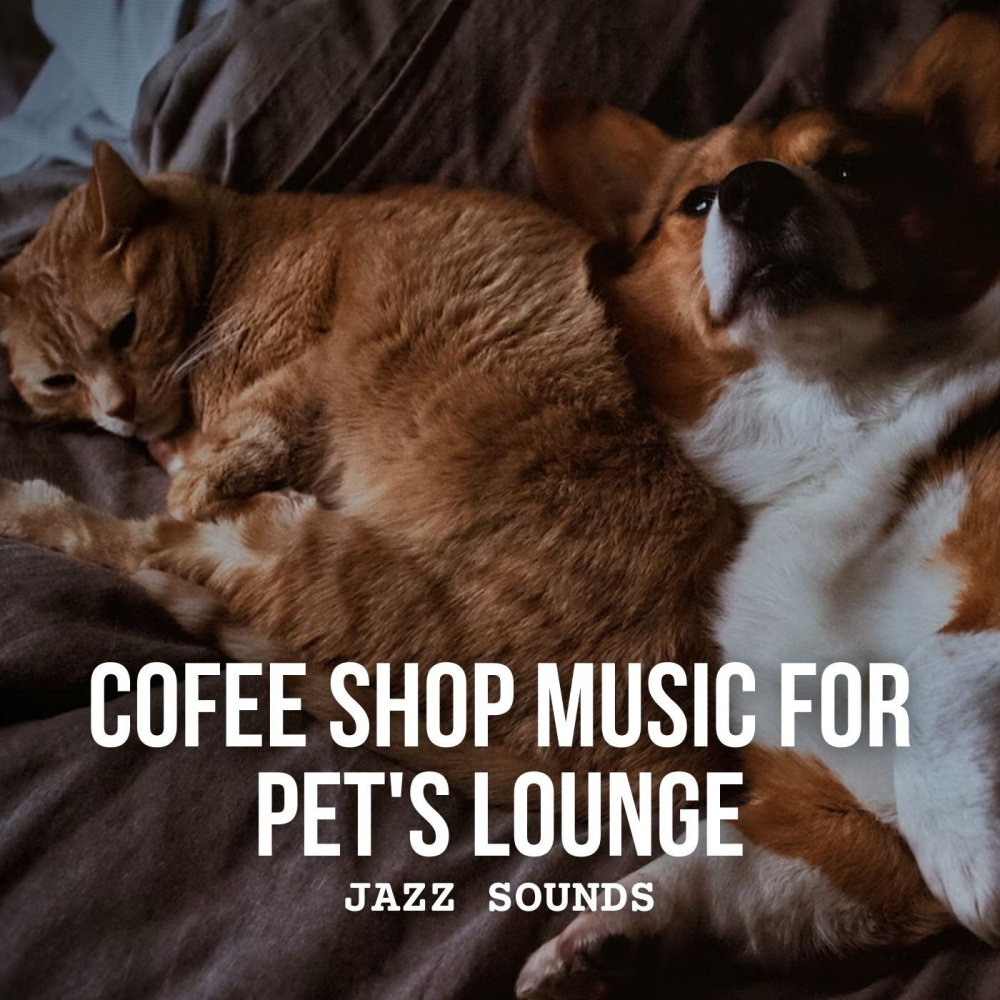 Pawsitively Swinging with Java Jazz