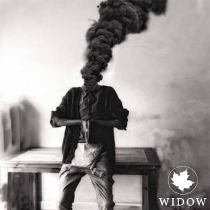 อัลบัม Widow (Explicit) ศิลปิน Sienna Skies