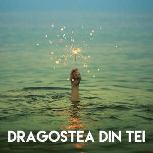 Album Dragostea Din Tei oleh CDM Project