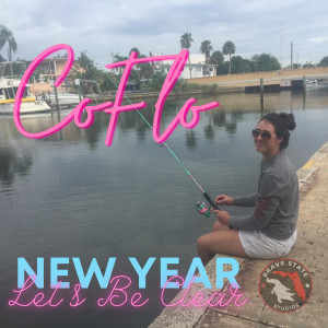 Listen to New Year Let's Be Clear song with lyrics from Coflo