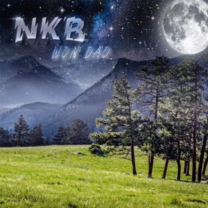 ดาวน์โหลดและฟังเพลง วอนดาว พร้อมเนื้อเพลงจาก NKBOI