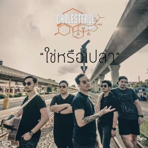 Listen to ใช่หรือเปล่า song with lyrics from Cholesterol