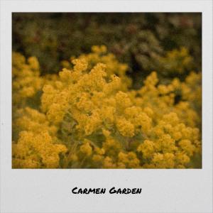 Listen to Gawky Arts song with lyrics from Jaon Sting